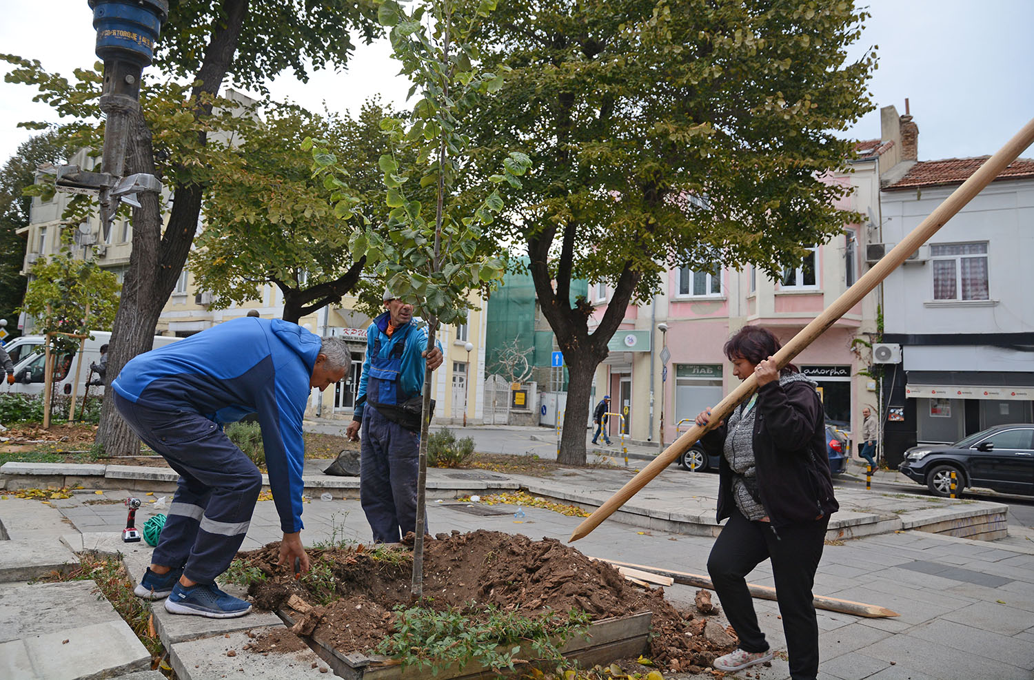 Засаждат над 350 нови дървета във Варна (СНИМКИ)